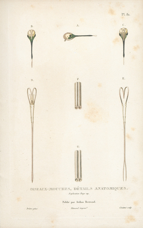 images/import/2013/SCH13168/SCH131680161i1.jpg