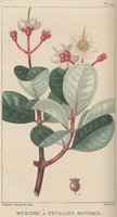 images/import/2019/FCL18022/FCL18022-0230i1.jpg
