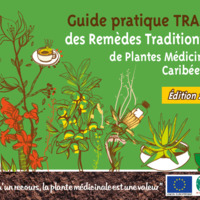 Guide pratique TRAMIL 